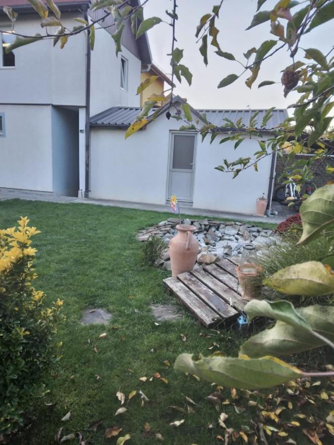 Studio Unique Apartment Timisoara Exterior photo